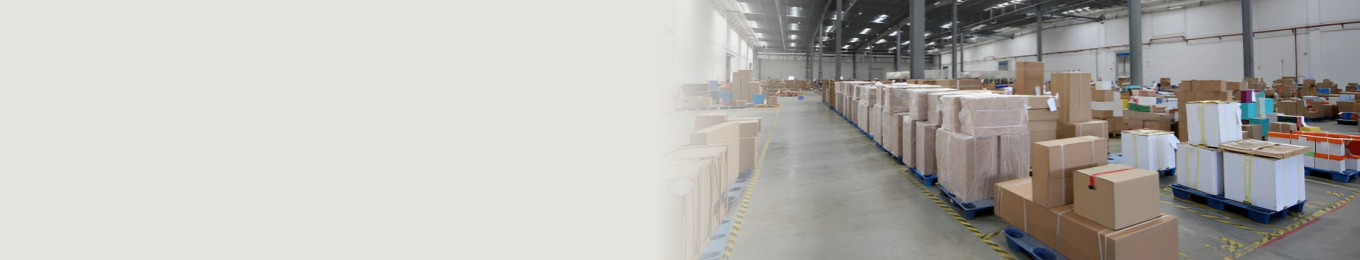 Vikash Packtech Private Limited