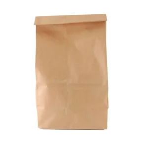 Plain Paper Bags